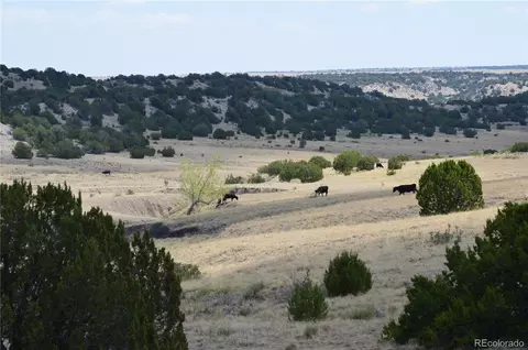 000 Claymine Rd, Rye, CO 81069 photo 18
