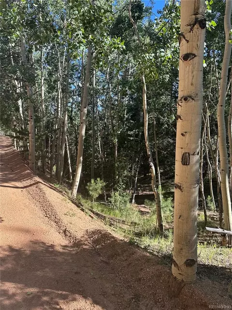 L8 Horseshoe Drive, Divide, CO 80814 photo 4