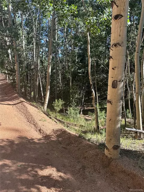 L8 Horseshoe Drive, Divide, CO 80814 photo 8