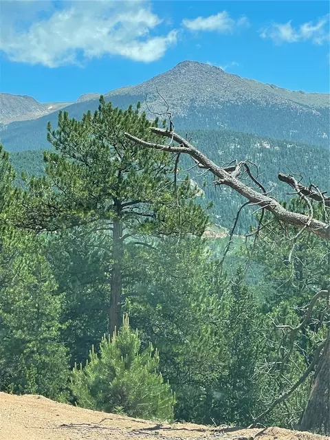 L8 Horseshoe Drive, Divide, CO 80814 photo 2