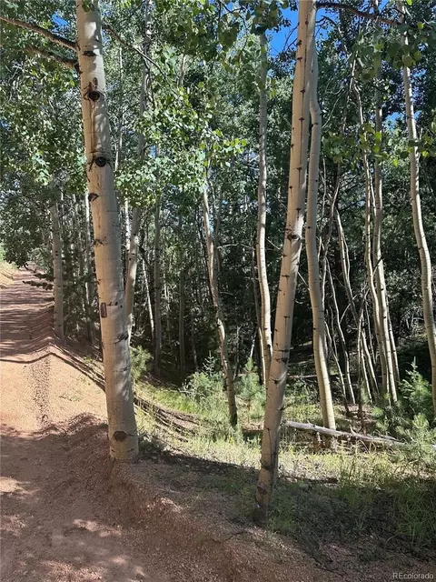 L8 Horseshoe Drive, Divide, CO 80814 photo 6
