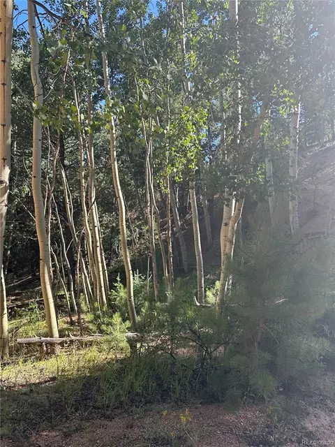 L8 Horseshoe Drive, Divide, CO 80814 photo 7