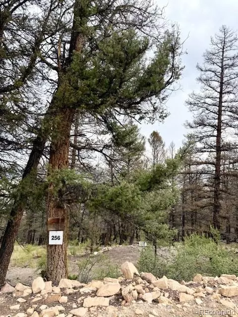 0 Middle Fork Vis, Fairplay, CO 80440