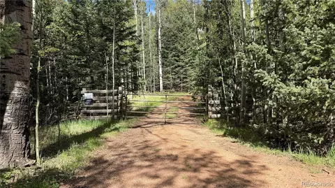County Road 61 Ct Rd, Divide, CO 80814 photo 2