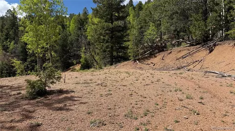 County Road 61 Ct Rd, Divide, CO 80814 photo 38
