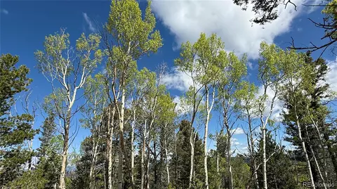 County Road 61 Ct Rd, Divide, CO 80814 photo 44