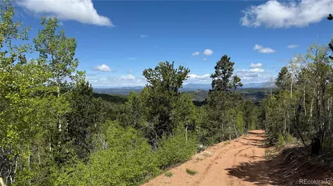 County Road 61 Ct Rd, Divide, CO 80814 photo 42