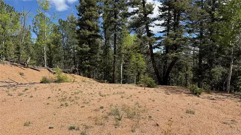 County Road 61 Ct Rd, Divide, CO 80814 photo 37