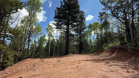 County Road 61 Ct Rd, Divide, CO 80814 photo 40