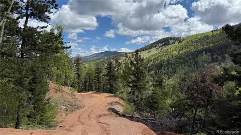 County Road 61 Ct Rd, Divide, CO 80814 photo 49