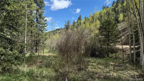 County Road 61 Ct Rd, Divide, CO 80814 photo 32