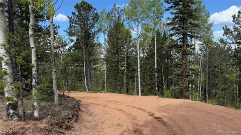 County Road 61 Ct Rd, Divide, CO 80814 photo 46