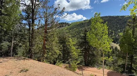 County Road 61 Ct Rd, Divide, CO 80814 photo 36