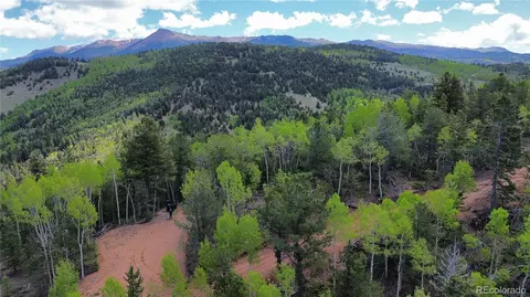 County Road 61 Ct Rd, Divide, CO 80814 photo 20