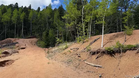 County Road 61 Ct Rd, Divide, CO 80814 photo 35
