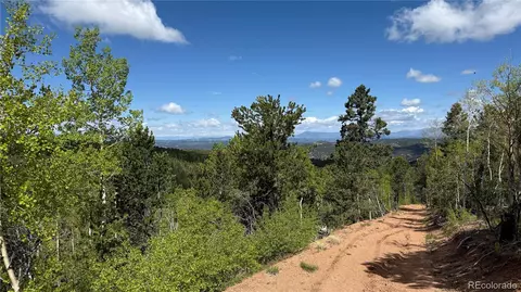 County Road 61 Ct Rd, Divide, CO 80814 photo 41