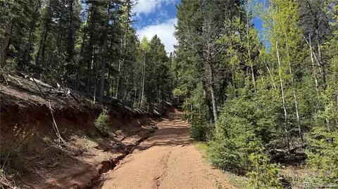 County Road 61 Ct Rd, Divide, CO 80814 photo 33