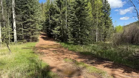 County Road 61 Ct Rd, Divide, CO 80814 photo 31