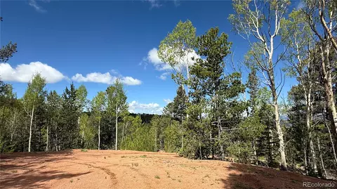 County Road 61 Ct Rd, Divide, CO 80814 photo 43