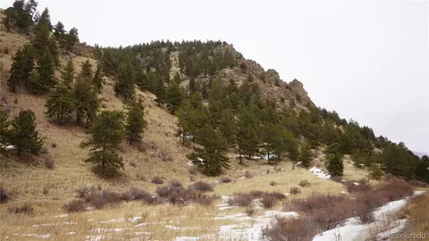 Hwy 285, Bailey, CO 80421 photo 3