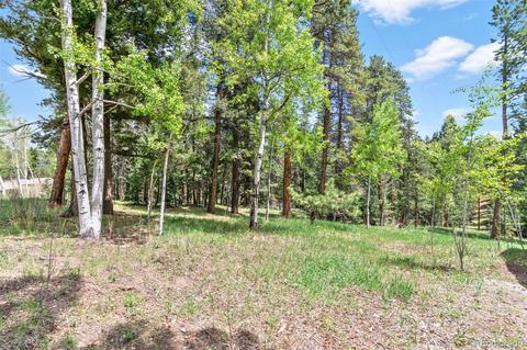 12320 Quaker Ln, Conifer, CO 80433 photo 24
