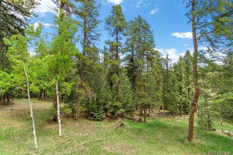 12320 Quaker Ln, Conifer, CO 80433 photo 20