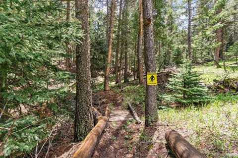 12320 Quaker Ln, Conifer, CO 80433 photo 23