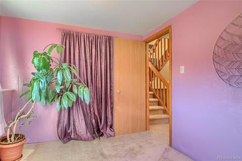 2945 E 95th Ave, Thornton, CO 80229 photo 24