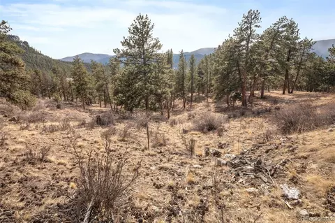 260 Bailey Dr, Bailey, CO 80421 photo 11
