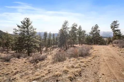 260 Bailey Dr, Bailey, CO 80421 photo 14