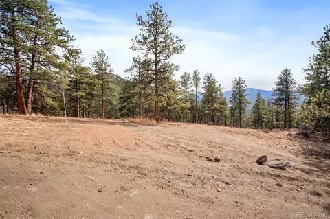 260 Bailey Dr, Bailey, CO 80421 photo 7