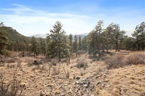 260 Bailey Dr, Bailey, CO 80421 photo 15