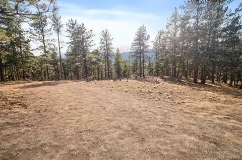 260 Bailey Dr, Bailey, CO 80421 photo 2