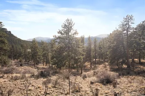 260 Bailey Dr, Bailey, CO 80421 photo 13