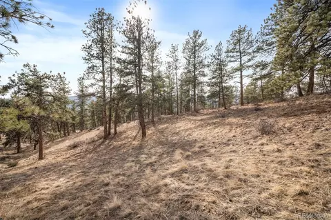 260 Bailey Dr, Bailey, CO 80421 photo 9