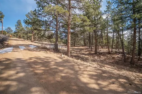 260 Bailey Dr, Bailey, CO 80421 photo 3