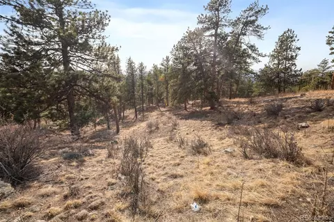 260 Bailey Dr, Bailey, CO 80421 photo 10