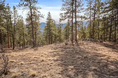 260 Bailey Dr, Bailey, CO 80421 photo 5