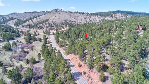 15446 Pine Valley Rd, Pine, CO 80470 photo 34