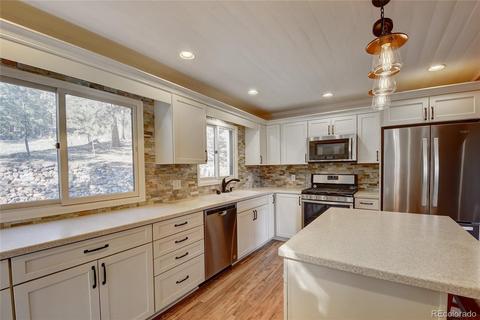 15446 Pine Valley Rd, Pine, CO 80470 photo 10