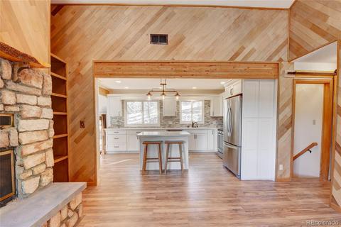 15446 Pine Valley Rd, Pine, CO 80470 photo 12