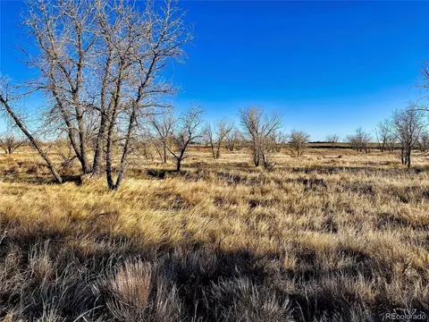 County Road 8, Wiggins, CO 80654 photo 6