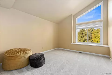 8518 Thunderbird Rd, Parker, CO 80134 photo 31