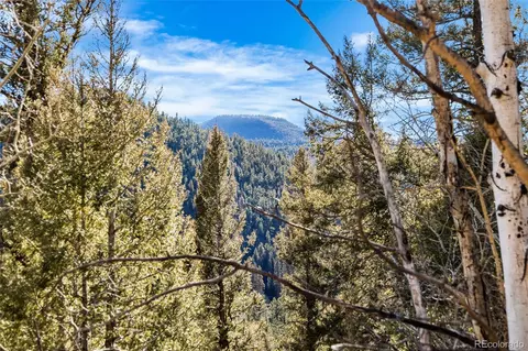 35441 Upper Aspen Ln, Pine, CO 80470 photo 17
