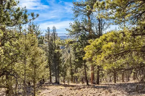 35441 Upper Aspen Ln, Pine, CO 80470 photo 12