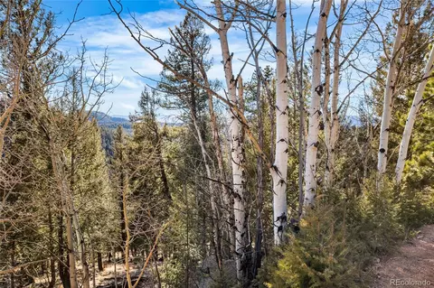 35441 Upper Aspen Ln, Pine, CO 80470 photo 15