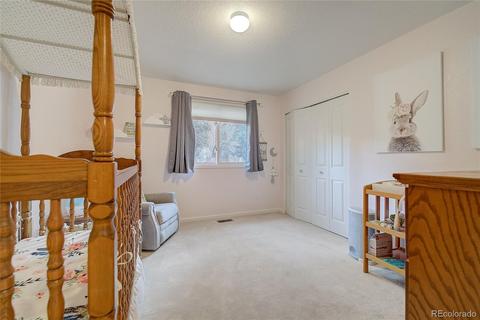 13381 Douglas Ranch Dr, Pine, CO 80470 photo 25