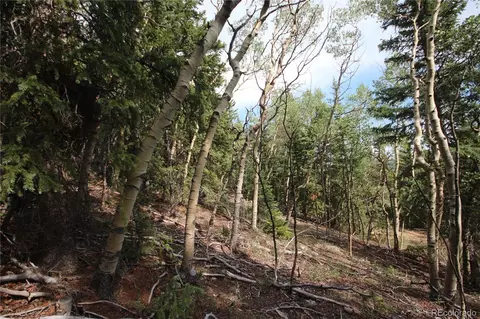 lot6573 Ackerman Rd, San Luis, CO 81152 photo 8