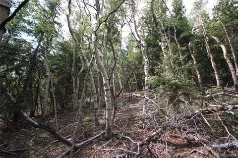 lot6573 Ackerman Rd, San Luis, CO 81152 photo 6