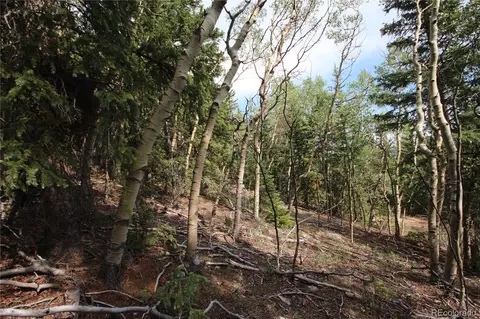 lot6573 Ackerman Rd, San Luis, CO 81152 photo 7